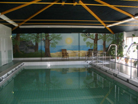 отель Karjalan lomahovi в Финляндии, бассейн