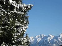 Тур на Новый год и Новогодние каникулы в Альпы